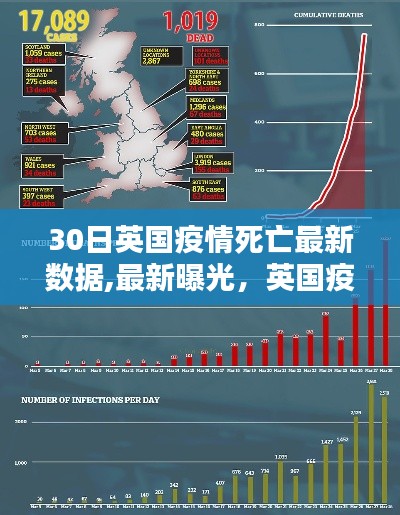 英国疫情死亡数据最新报告，深度解析与最新曝光