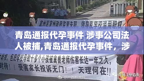 青岛代孕事件曝光，涉事公司法人被捕，事件解析及应对步骤指南