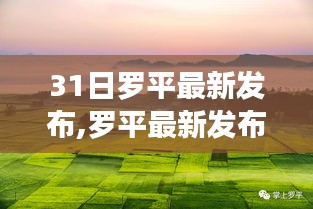 罗平最新政策解读，深度探析某项政策的观点与启示