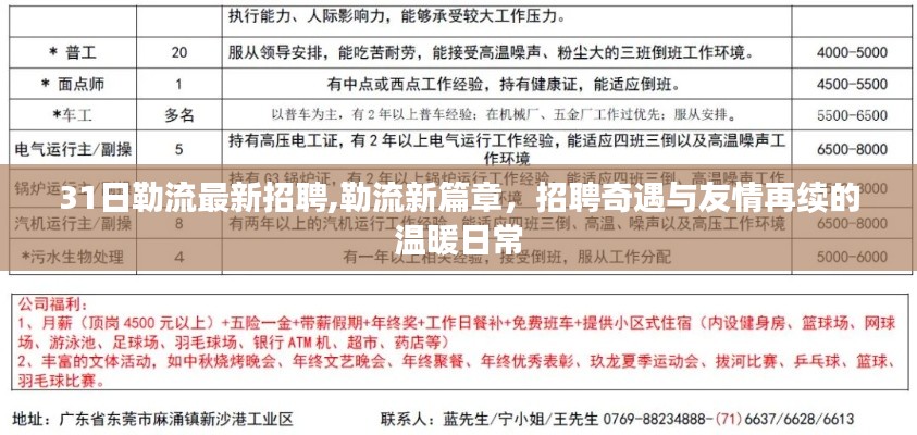 勒流最新招聘启事，招聘奇遇与友情的温暖日常新篇章