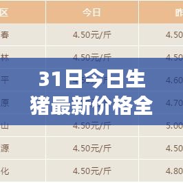 全国生猪最新价格背后的励志故事，变化带来自信与成就感，最新生猪价格一览表