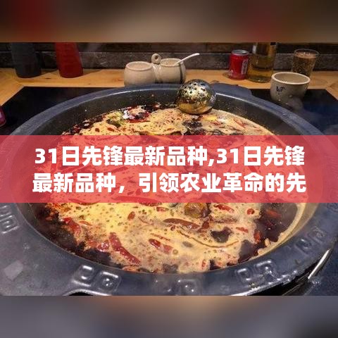 引领农业革命的先锋力量，最新品种31日先锋