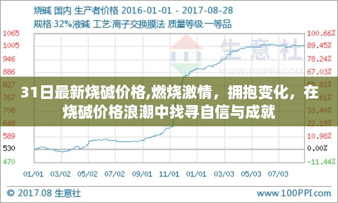 业务领域 第206页