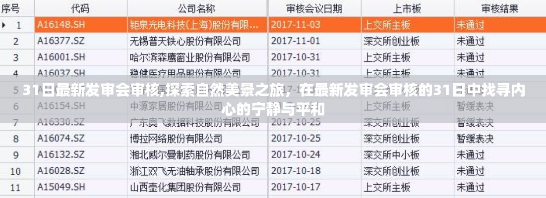 探索自然美景之旅，最新发审会审核下的心灵宁静探寻之旅