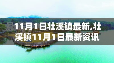 壮溪镇最新资讯，探寻新动态，感受新生活在11月1日的脉动