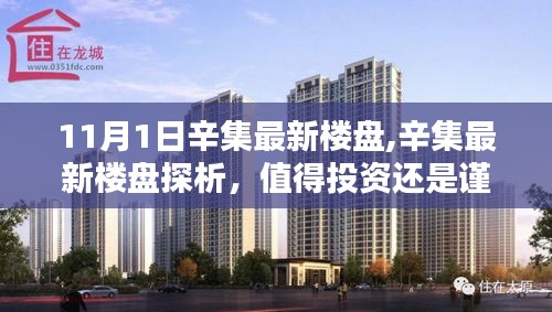 辛集最新楼盘探析，投资还是观望？深度解析与建议。