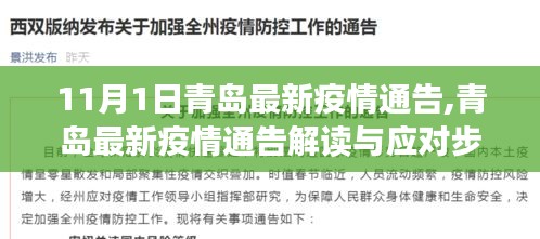 青岛最新疫情通告解读与应对指南，初学者与进阶用户的必备参考（11月1日更新）