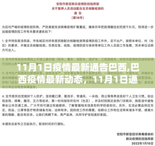 巴西疫情最新动态解析，11月1日通告解读与关键要点分析