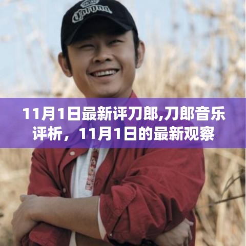 11月1日最新观察，刀郎音乐评析