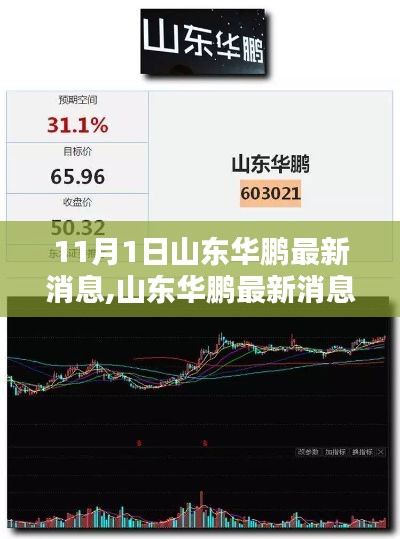 山东华鹏任务技能学习指南，最新消息解析与任务完成指南（适合初学者与进阶用户）