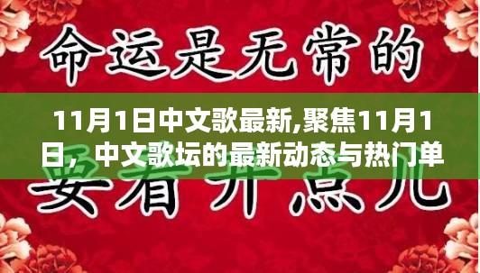 聚焦11月1日中文歌坛，最新动态与热门单曲汇总