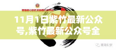 紫竹最新公众号评测，特性、体验、对比与深度分析全解析