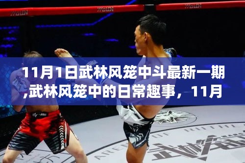 武林风笼中趣事，武林风笼中日常与11月新篇章揭秘