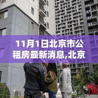 北京市公租房申请全攻略，最新消息与步骤指南（11月版）