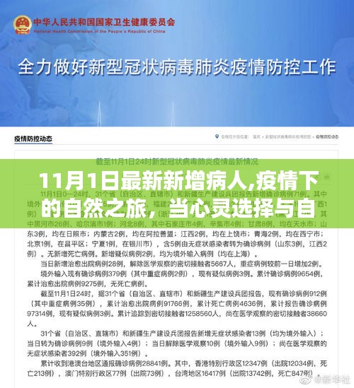 心灵与自然对话，疫情下的新起点——疫情新增病人与自然的探索之旅