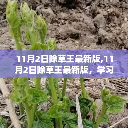 11月2日除草王最新版，学习变革的魔法，播种自信与成就的种子