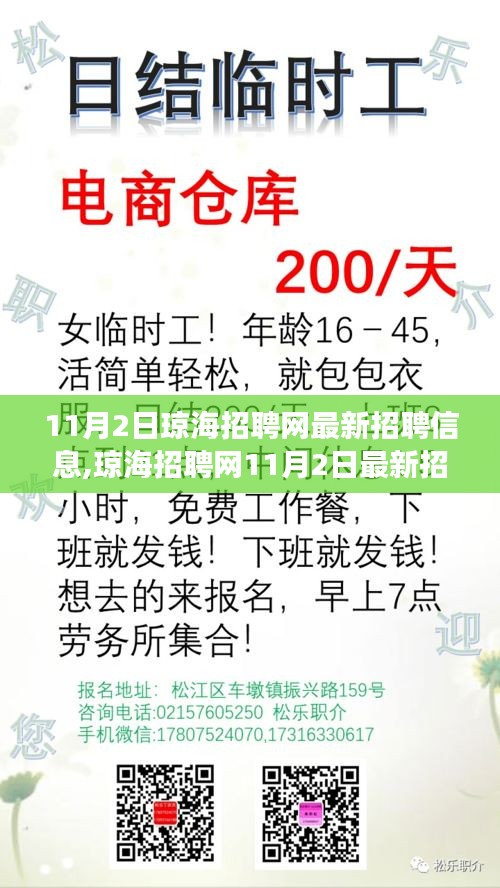 琼海招聘网最新招聘信息概览，时代脉搏下的职业新机遇（11月2日）