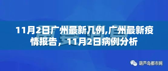 广州最新疫情报告，11月2日病例分析与最新病例数揭秘