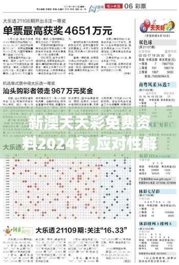 新澳天天彩免费资料2024老,应对性解析落实计划_机动型26.773