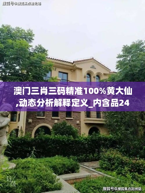 澳门三肖三码精准100%黄大仙,动态分析解释定义_内含品24.296