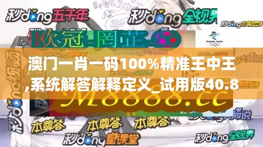 澳门一肖一码100%精准王中王,系统解答解释定义_试用版40.818