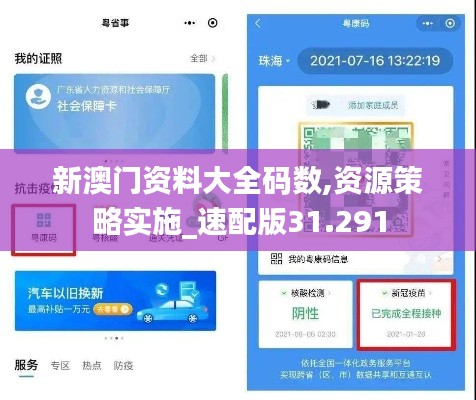 新澳门资料大全码数,资源策略实施_速配版31.291