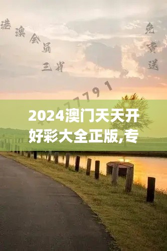 2024澳门天天开好彩大全正版,专业问题处理_转变集83.195