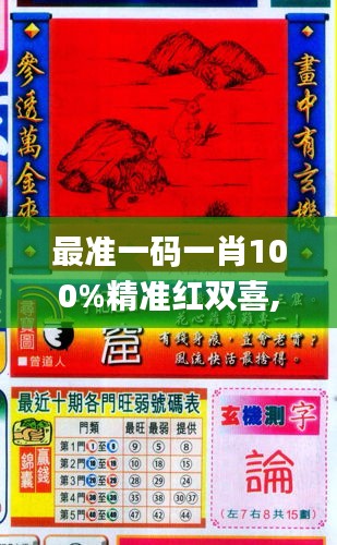 最准一码一肖100%精准红双喜,权威解答解释落实_XE集32.752