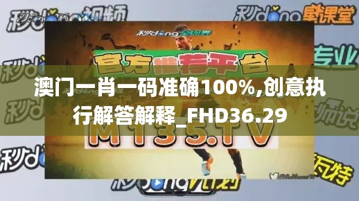 澳门一肖一码准确100%,创意执行解答解释_FHD36.29