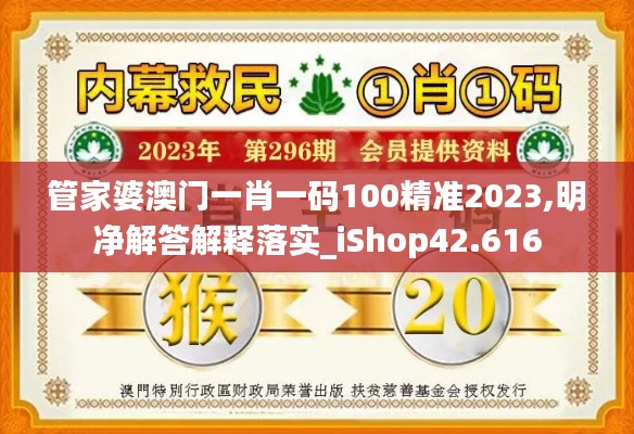 管家婆澳门一肖一码100精准2023,明净解答解释落实_iShop42.616