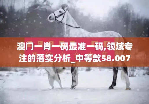 澳门一肖一码最准一码,领域专注的落实分析_中等款58.007