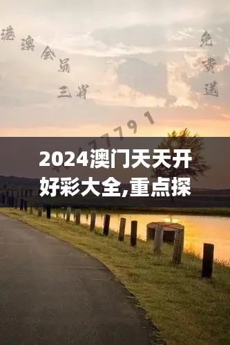 2024澳门天天开好彩大全,重点探讨解答解释现象_VP16.86