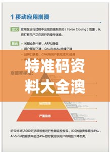 特准码资料大全澳门,专业支持解析落实_专业版35.496