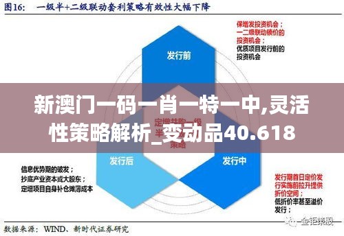 新澳门一码一肖一特一中,灵活性策略解析_变动品40.618