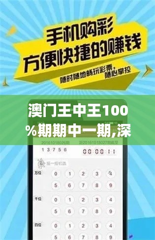 澳门王中王100%期期中一期,深刻的解释落实实践_特供版14.614