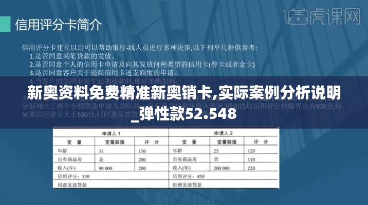 新奥资料免费精准新奥销卡,实际案例分析说明_弹性款52.548