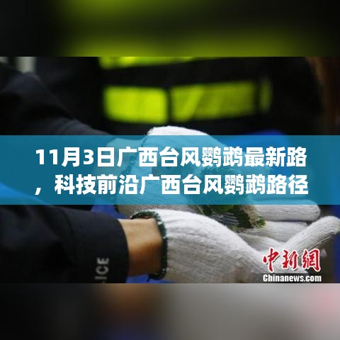 广西台风鹦鹉最新动态，智能追踪系统升级，科技前沿引领生活新篇章（实时更新）