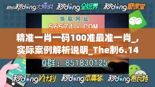 精准一肖一码100准最准一肖_,实际案例解析说明_The制6.142