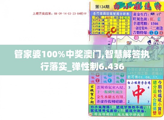 管家婆100%中奖澳门,智慧解答执行落实_弹性制6.436