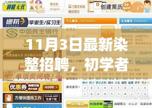 11月3日染整招聘大全，适合初学者与进阶用户的求职攻略