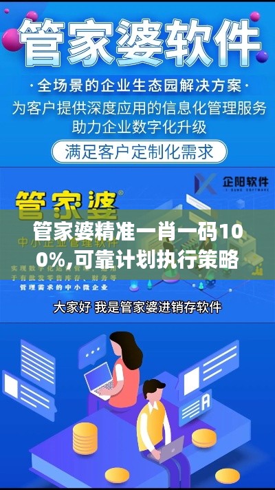 管家婆精准一肖一码100%,可靠计划执行策略_试探品96.438