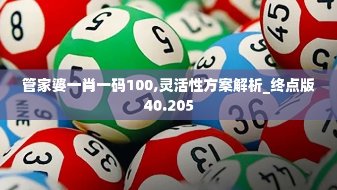 管家婆一肖一码100,灵活性方案解析_终点版40.205