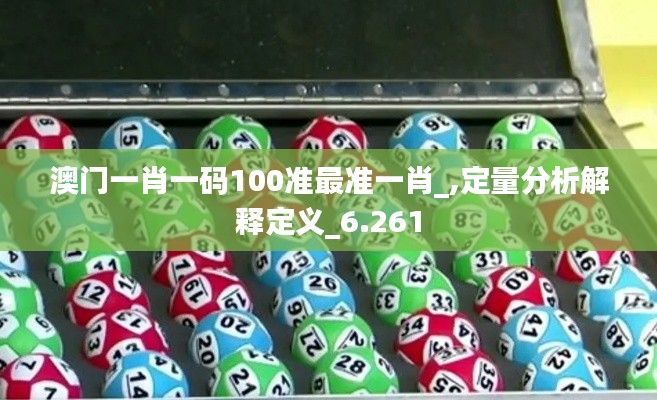 澳门一肖一码100准最准一肖_,定量分析解释定义_6.261