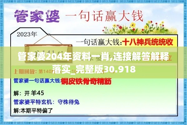 管家婆204年资料一肖,连接解答解释落实_完整版30.918