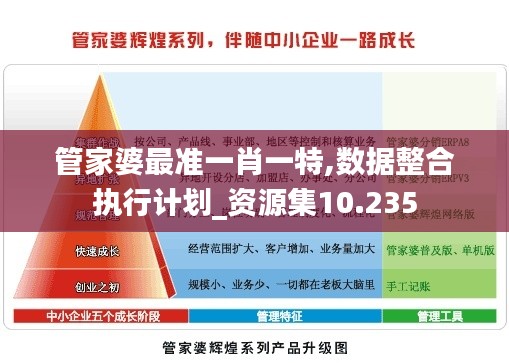 管家婆最准一肖一特,数据整合执行计划_资源集10.235