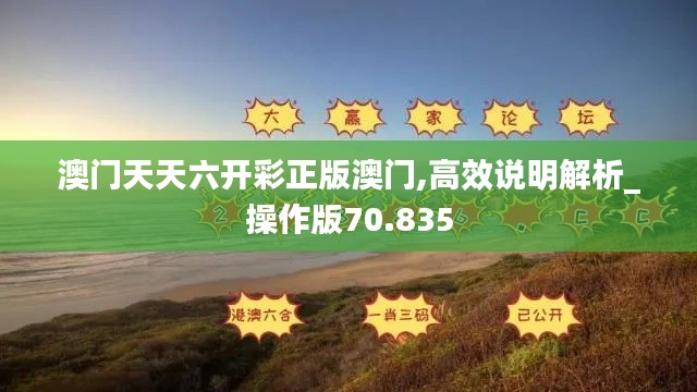 澳门天天六开彩正版澳门,高效说明解析_操作版70.835