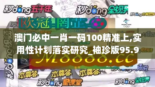 澳门必中一肖一码100精准上,实用性计划落实研究_袖珍版95.930