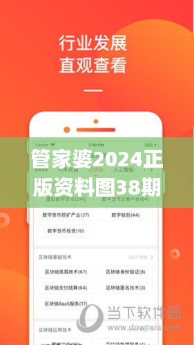 管家婆2024正版资料图38期,经典解释落实_增强款62.228