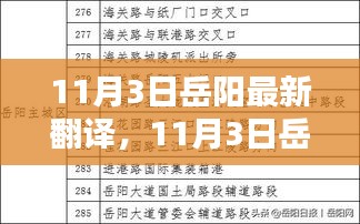 11月3日岳阳最新翻译探析，深入阐述某种观点