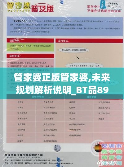 管家婆正版管家婆,未来规划解析说明_BT品89.205